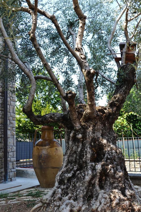 Riflessi D'Arte Acomodação com café da manhã Provaglio d'Iseo Exterior foto